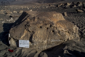 Piedra: 1068, Cara decorada: II