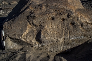 Piedra: 1068, Cara decorada: II