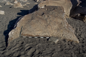 Piedra: 1072, Cara decorada: I