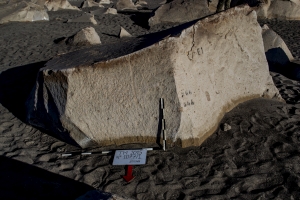 Piedra: 1077, Cara decorada: I