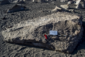 Piedra: 1078, Cara decorada: I