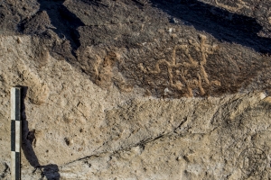 Piedra: 1079, Cara decorada: III