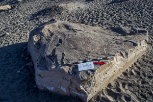 Piedra: 1079, Cara decorada: II
