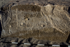 Piedra: 1079, Cara decorada: I