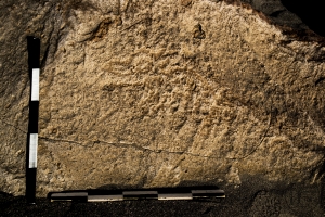 Piedra: 1080, Cara decorada: I