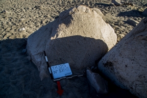 Piedra: 1084, Cara decorada: I
