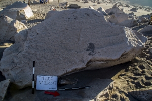 Piedra: 1085, Cara decorada: II
