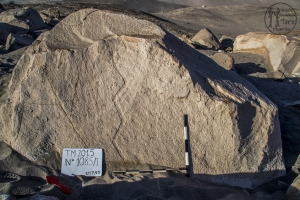 Piedra: 1085, Cara decorada: I