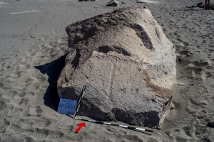 Piedra: 1087, Cara decorada: I