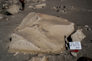 Piedra: 1091, Cara decorada: II