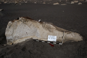 Piedra: 1094, Cara decorada: I