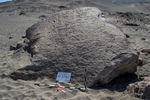 Piedra: 1096, Cara decorada: I