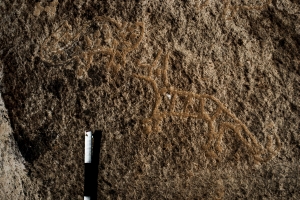 Piedra: 1097, Cara decorada: I