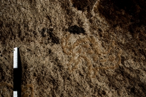 Piedra: 1097, Cara decorada: I