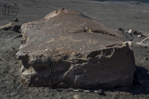 Piedra: 1098, Cara decorada: I