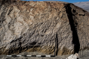 Piedra: 1100, Cara decorada: I