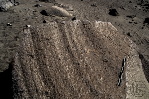 Piedra: 1101, Cara decorada: I
