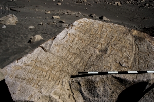 Piedra: 1104, Cara decorada: III