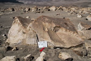 Piedra: 1106, Cara decorada: I
