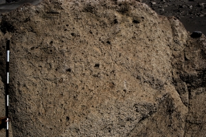 Piedra: 1108, Cara decorada: II