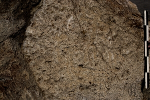 Piedra: 1108, Cara decorada: I