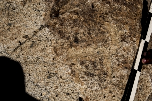 Piedra: 1108, Cara decorada: I