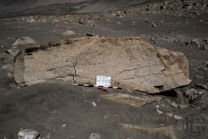 Piedra: 1112, Cara decorada: II
