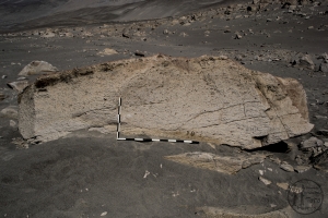 Piedra: 1112, Cara decorada: II
