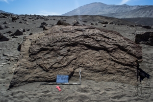 Piedra: 1112, Cara decorada: I