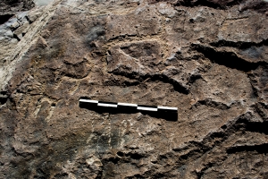 Piedra: 1112, Cara decorada: I