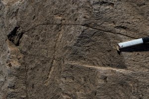 Piedra: 1113, Cara decorada: II