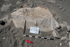 Piedra: 1115, Cara decorada: I
