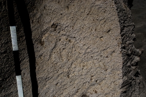 Piedra: 1116, Cara decorada: II