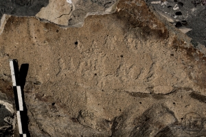 Piedra: 1119, Cara decorada: I