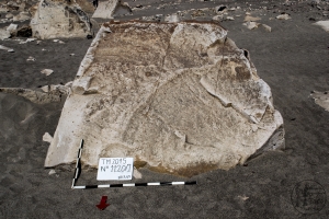 Piedra: 1120, Cara decorada: I
