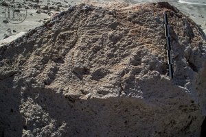 Piedra: 1126, Cara decorada: II