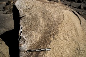 Piedra: 1126, Cara decorada: I