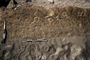 Piedra: 1131, Cara decorada: I