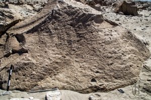 Piedra: 1134, Cara decorada: III