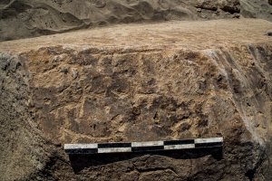 Piedra: 1134, Cara decorada: IV