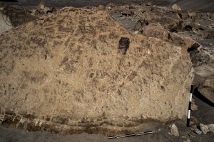 Piedra: 1134, Cara decorada: I