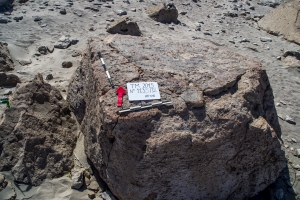 Piedra: 1135, Cara decorada: III