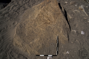 Piedra: 1136, Cara decorada: I
