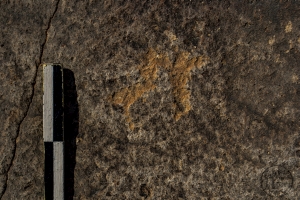 Piedra: 1138, Cara decorada: I