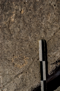 Piedra: 1138, Cara decorada: I