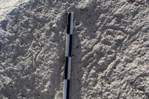 Piedra: 1139, Cara decorada: III
