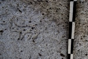 Piedra: 1139, Cara decorada: IV