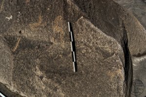 Piedra: 1139, Cara decorada: I