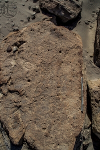 Piedra: 1142, Cara decorada: I