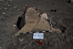 Piedra: 1143, Cara decorada: I